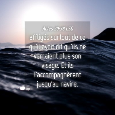 Picture 04 - Actes 20:38 LSG - affligés surtout de ce qu'il avait dit qu'ils ne - Bible Verse Picture