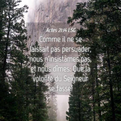 Picture 04 - Actes 21:14 LSG - Comme il ne se laissait pas persuader, nous - Bible Verse Picture