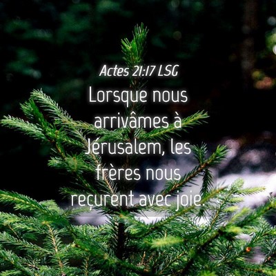 Picture 04 - Actes 21:17 LSG - Lorsque nous arrivâmes à Jérusalem, les - Bible Verse Picture