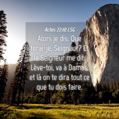 Picture 04 - Actes 22:10 LSG - Alors je dis: Que ferai-je, Seigneur? Et le - Bible Verse Picture