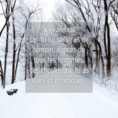 Picture 04 - Actes 22:15 LSG - car tu lui serviras de témoin, auprès de tous - Bible Verse Picture