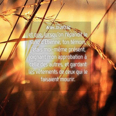 Picture 04 - Actes 22:20 LSG - et que, lorsqu'on répandit le sang d'Etienne, - Bible Verse Picture