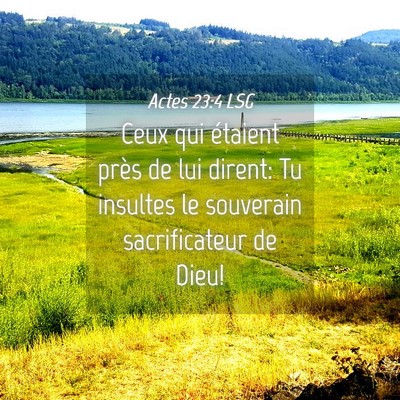 Picture 04 - Actes 23:4 LSG - Ceux qui étaient près de lui dirent: Tu - Bible Verse Picture