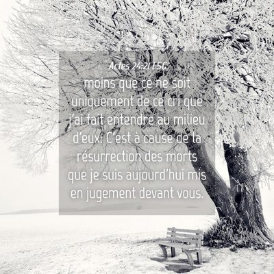 Picture 04 - Actes 24:21 LSG - moins que ce ne soit uniquement de ce cri que - Bible Verse Picture