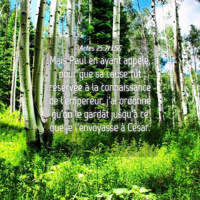 Picture 04 - Actes 25:21 LSG - Mais Paul en ayant appelé, pour que sa cause - Bible Verse Picture