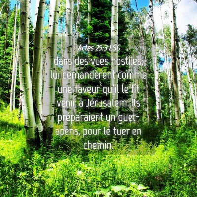 Picture 04 - Actes 25:3 LSG - dans des vues hostiles, lui demandèrent comme - Bible Verse Picture