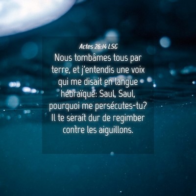 Picture 04 - Actes 26:14 LSG - Nous tombâmes tous par terre, et j'entendis une - Bible Verse Picture