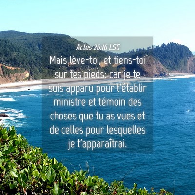 Picture 04 - Actes 26:16 LSG - Mais lève-toi, et tiens-toi sur tes pieds; car - Bible Verse Picture