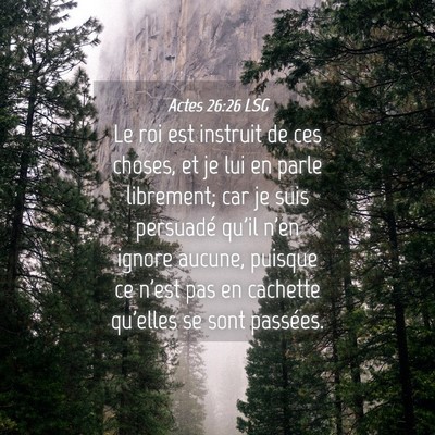 Picture 04 - Actes 26:26 LSG - Le roi est instruit de ces choses, et je lui en - Bible Verse Picture