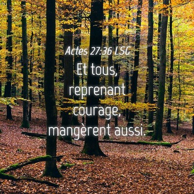 Picture 04 - Actes 27:36 LSG - Et tous, reprenant courage, mangèrent - Bible Verse Picture