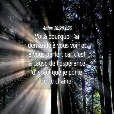 Picture 04 - Actes 28:20 LSG - Voilà pourquoi j'ai demandé à vous voir et à - Bible Verse Picture