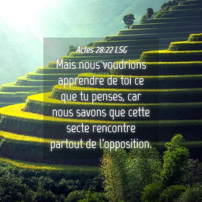 Picture 04 - Actes 28:22 LSG - Mais nous voudrions apprendre de toi ce que tu - Bible Verse Picture