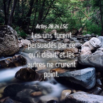 Picture 04 - Actes 28:24 LSG - Les uns furent persuadés par ce qu'il disait, et - Bible Verse Picture