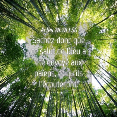 Picture 04 - Actes 28:28 LSG - Sachez donc que ce salut de Dieu a été envoyé - Bible Verse Picture