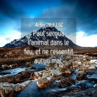 Picture 04 - Actes 28:5 LSG - Paul secoua l'animal dans le feu, et ne ressentit - Bible Verse Picture