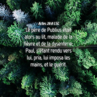 Picture 04 - Actes 28:8 LSG - Le père de Publius était alors au lit, malade - Bible Verse Picture