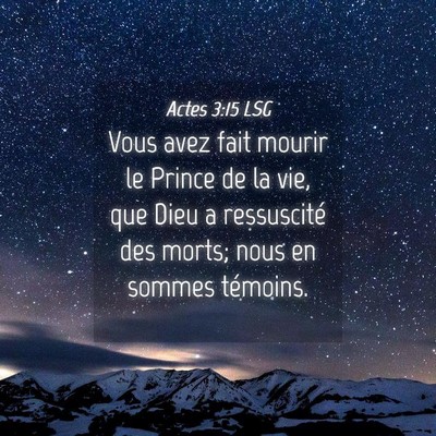 Picture 04 - Actes 3:15 LSG - Vous avez fait mourir le Prince de la vie, que - Bible Verse Picture