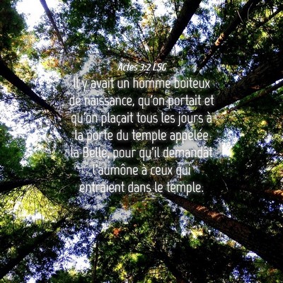 Picture 04 - Actes 3:2 LSG - Il y avait un homme boiteux de naissance, qu'on - Bible Verse Picture