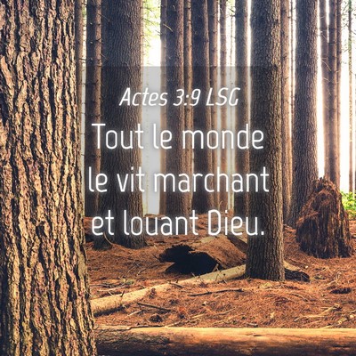 Picture 04 - Actes 3:9 LSG - Tout le monde le vit marchant et louant - Bible Verse Picture