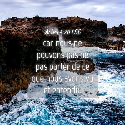 Picture 04 - Actes 4:20 LSG - car nous ne pouvons pas ne pas parler de ce que - Bible Verse Picture