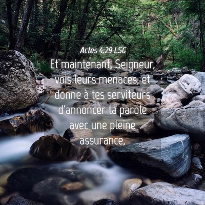 Picture 04 - Actes 4:29 LSG - Et maintenant, Seigneur, vois leurs menaces, et - Bible Verse Picture