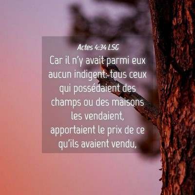 Picture 04 - Actes 4:34 LSG - Car il n'y avait parmi eux aucun indigent: tous - Bible Verse Picture