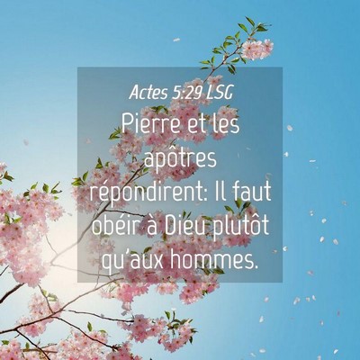 Picture 04 - Actes 5:29 LSG - Pierre et les apôtres répondirent: Il faut - Bible Verse Picture