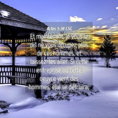 Picture 04 - Actes 5:38 LSG - Et maintenant, je vous le dis ne vous occupez - Bible Verse Picture