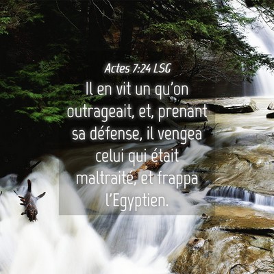 Picture 04 - Actes 7:24 LSG - Il en vit un qu'on outrageait, et, prenant sa - Bible Verse Picture