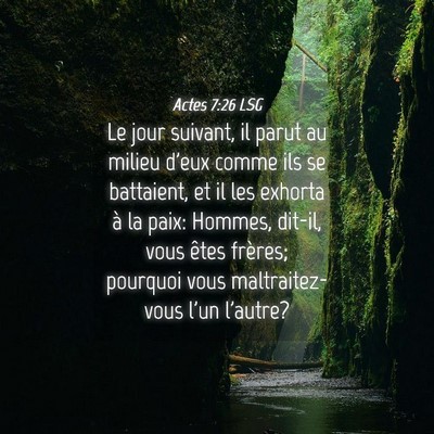 Picture 04 - Actes 7:26 LSG - Le jour suivant, il parut au milieu d'eux comme - Bible Verse Picture