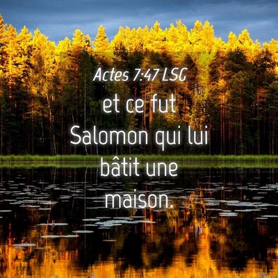 Picture 04 - Actes 7:47 LSG - et ce fut Salomon qui lui bâtit une - Bible Verse Picture