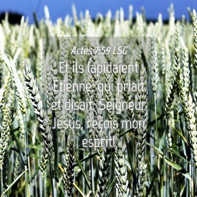 Picture 04 - Actes 7:59 LSG - Et ils lapidaient Etienne, qui priait et disait: - Bible Verse Picture