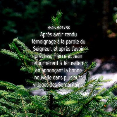 Picture 04 - Actes 8:25 LSG - Après avoir rendu témoignage à la parole du - Bible Verse Picture