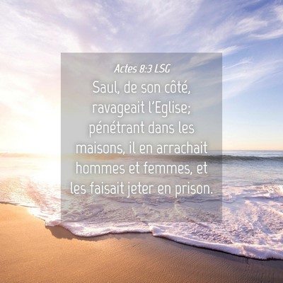Picture 04 - Actes 8:3 LSG - Saul, de son côté, ravageait l'Eglise; - Bible Verse Picture