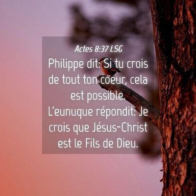 Picture 04 - Actes 8:37 LSG - Philippe dit: Si tu crois de tout ton coeur, cela - Bible Verse Picture