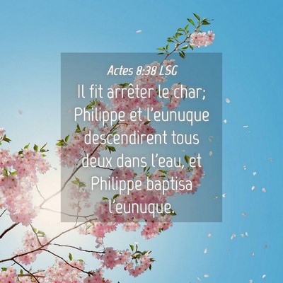 Picture 04 - Actes 8:38 LSG - Il fit arrêter le char; Philippe et l'eunuque - Bible Verse Picture