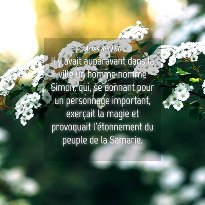 Picture 04 - Actes 8:9 LSG - Il y avait auparavant dans la ville un homme - Bible Verse Picture