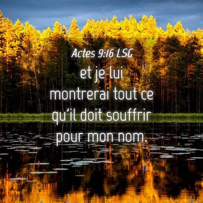 Picture 04 - Actes 9:16 LSG - et je lui montrerai tout ce qu'il doit souffrir - Bible Verse Picture