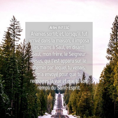 Picture 04 - Actes 9:17 LSG - Ananias sortit; et, lorsqu'il fut arrivé dans la - Bible Verse Picture