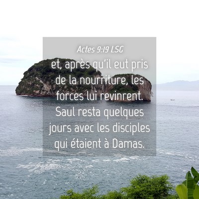 Picture 04 - Actes 9:19 LSG - et, après qu'il eut pris de la nourriture, les - Bible Verse Picture