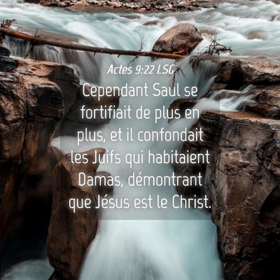 Picture 04 - Actes 9:22 LSG - Cependant Saul se fortifiait de plus en plus, et - Bible Verse Picture