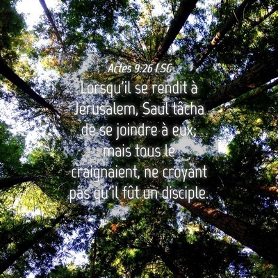 Picture 04 - Actes 9:26 LSG - Lorsqu'il se rendit à Jérusalem, Saul tâcha de - Bible Verse Picture