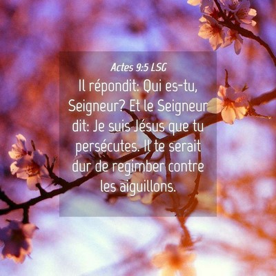 Picture 04 - Actes 9:5 LSG - Il répondit: Qui es-tu, Seigneur? Et le Seigneur - Bible Verse Picture