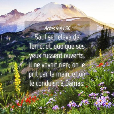 Picture 04 - Actes 9:8 LSG - Saul se releva de terre, et, quoique ses yeux - Bible Verse Picture