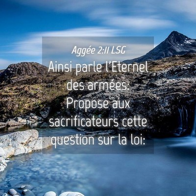 Picture 04 - Aggée 2:11 LSG - Ainsi parle l'Eternel des armées: Propose aux - Bible Verse Picture
