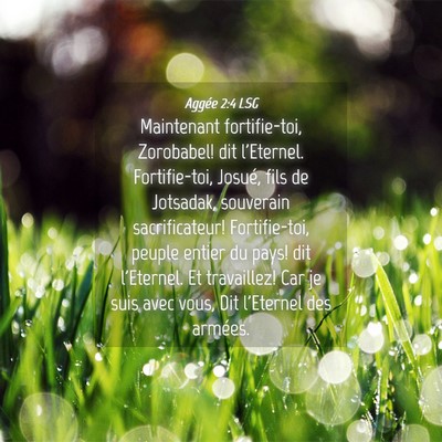 Picture 04 - Aggée 2:4 LSG - Maintenant fortifie-toi, Zorobabel! dit - Bible Verse Picture
