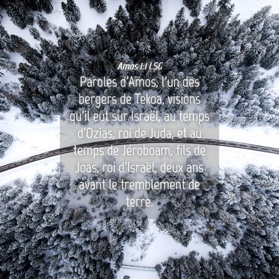 Picture 04 - Amos 1:1 LSG - Paroles d'Amos, l'un des bergers de Tekoa, - Bible Verse Picture