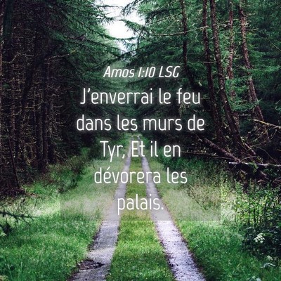 Picture 04 - Amos 1:10 LSG - J'enverrai le feu dans les murs de Tyr, Et il en - Bible Verse Picture
