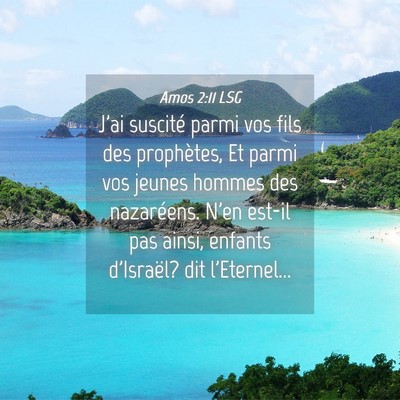 Picture 04 - Amos 2:11 LSG - J'ai suscité parmi vos fils des prophètes, Et - Bible Verse Picture