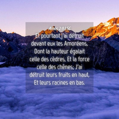 Picture 04 - Amos 2:9 LSG - Et pourtant j'ai détruit devant eux les - Bible Verse Picture
